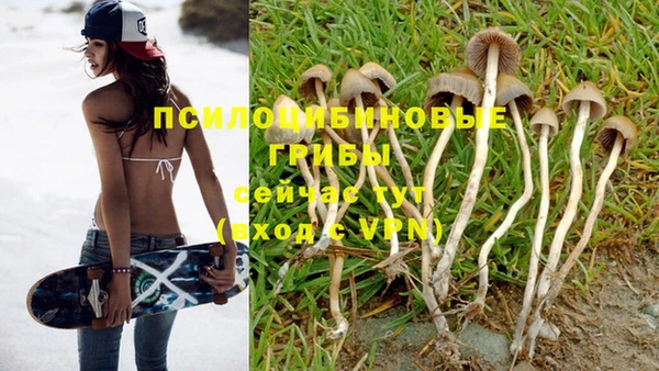 МДПВ Нефтекумск