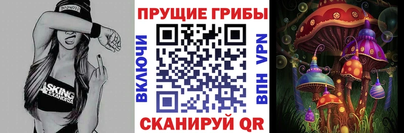 где найти   Нижние Серги  Галлюциногенные грибы Cubensis 